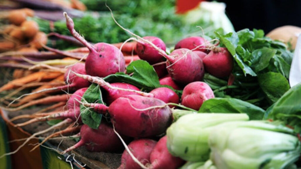 red radishes