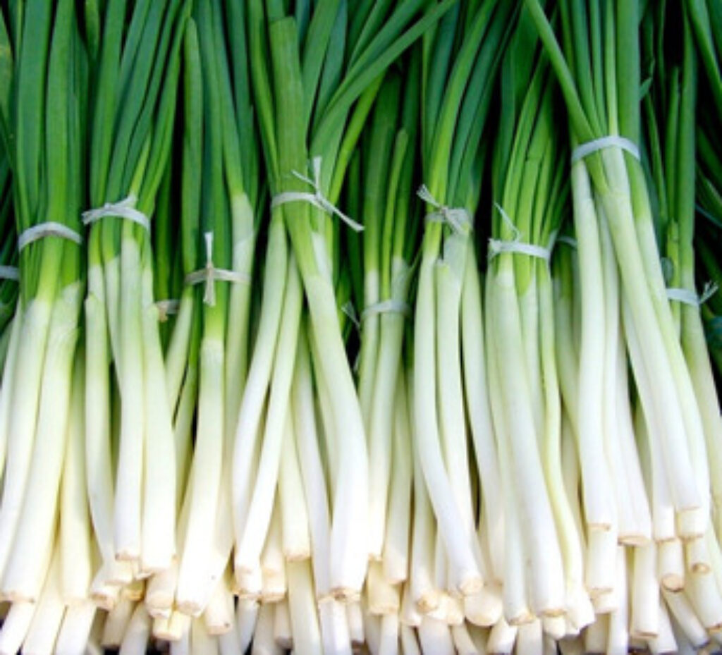 bunches of spring onions