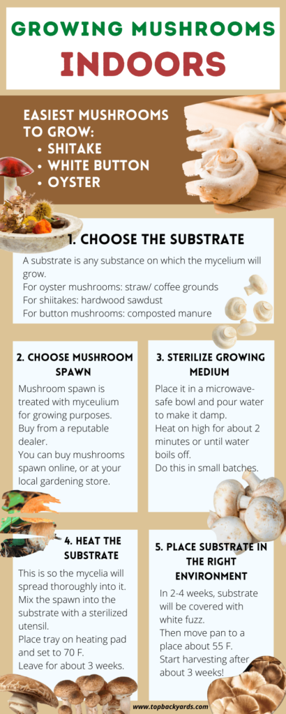 an infographic on growing mushrooms indoors