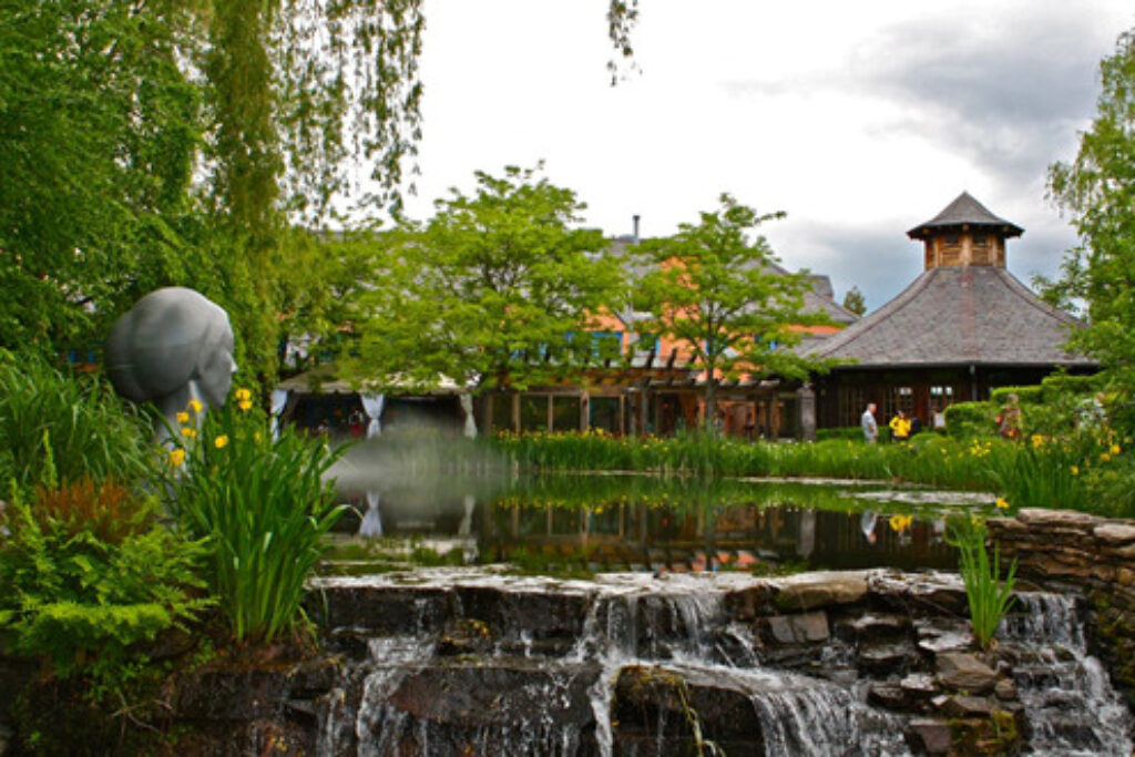 Japanese water garden