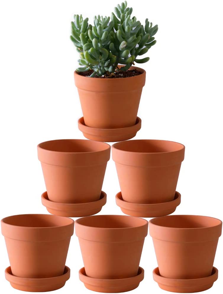 terra cota pots for planting vegetables