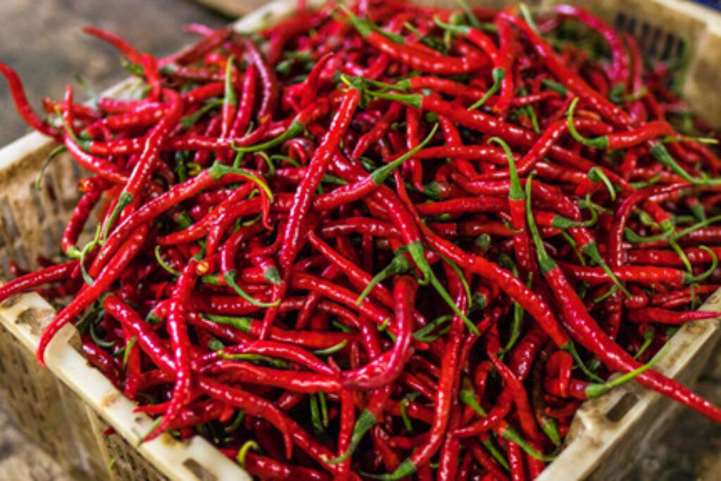 A pile of hot chillies