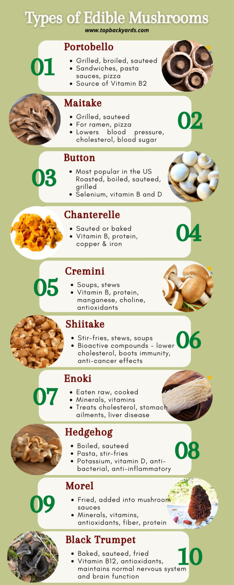 Types of Edible Mushrooms - TopBackyards