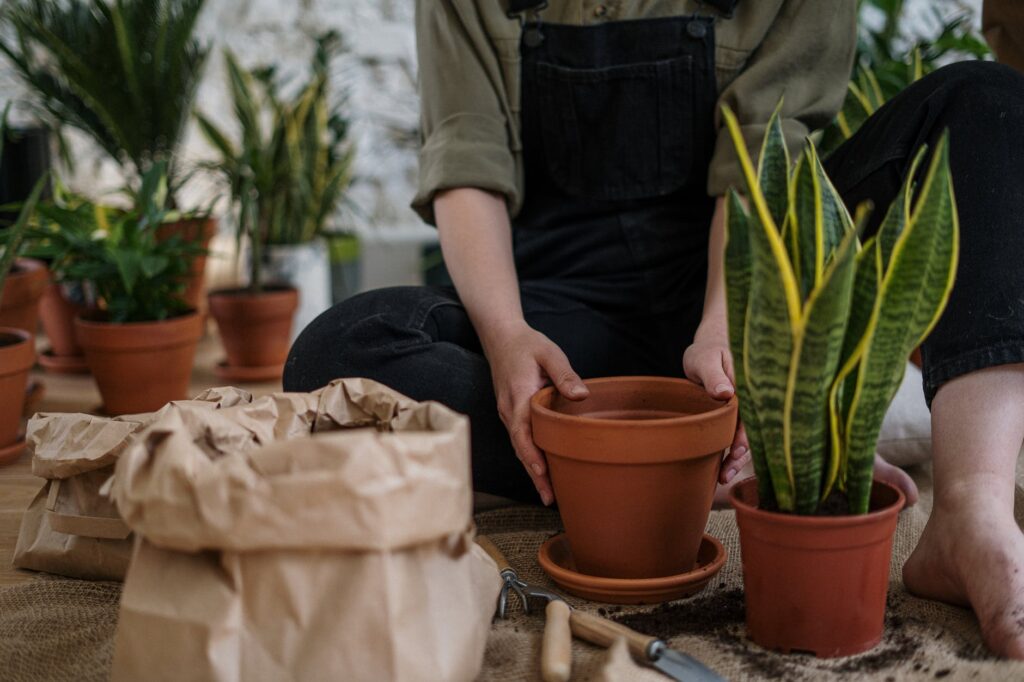 Gardening in pots 