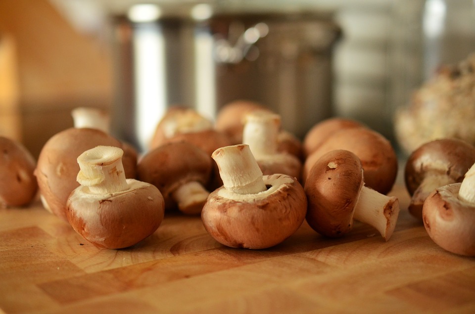 Several mushrooms on a table