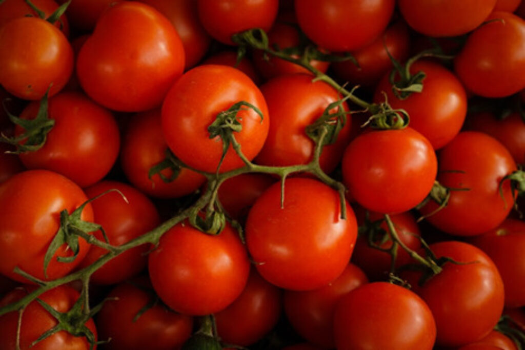 A bunch of tomatoes