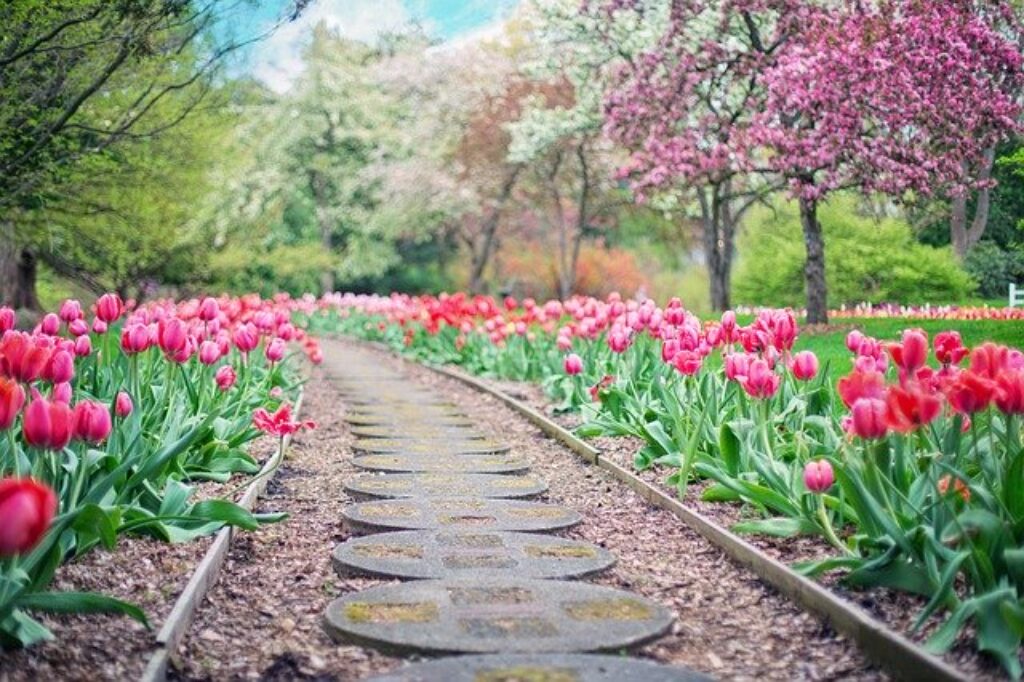 a garden landscape