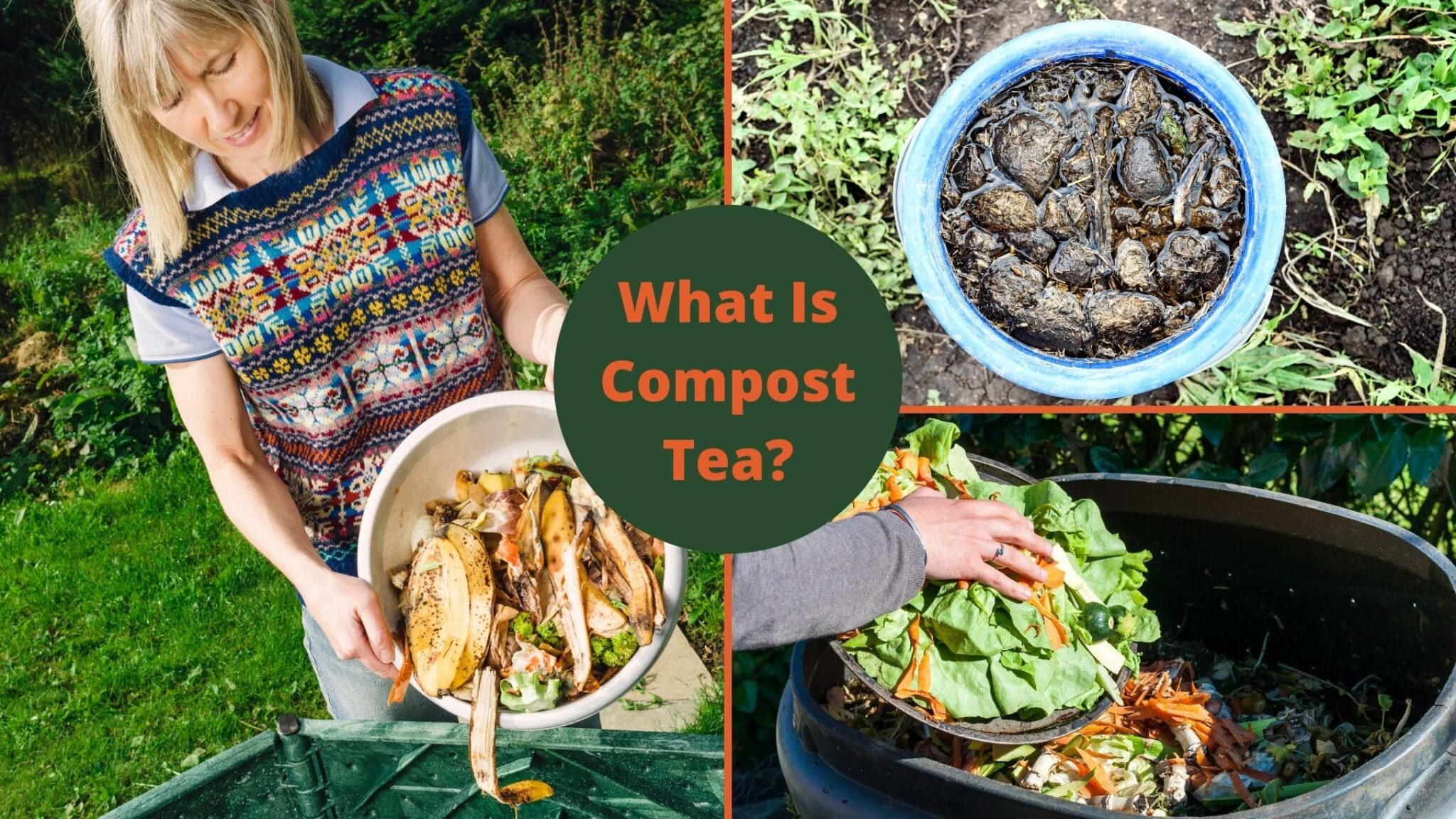 Compost Tea What’s It All About? TopBackyards
