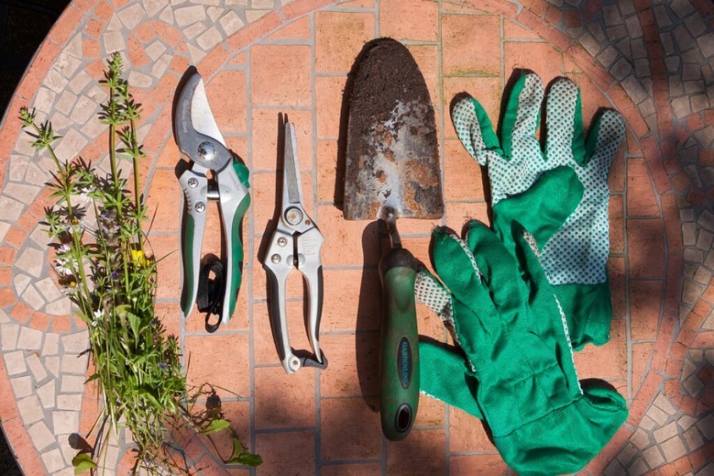 gardening tools lined up