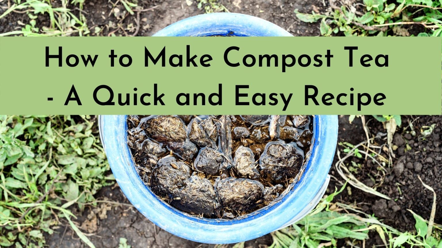 Wonderful Tips About How Do You Keep Compost Tea Alive