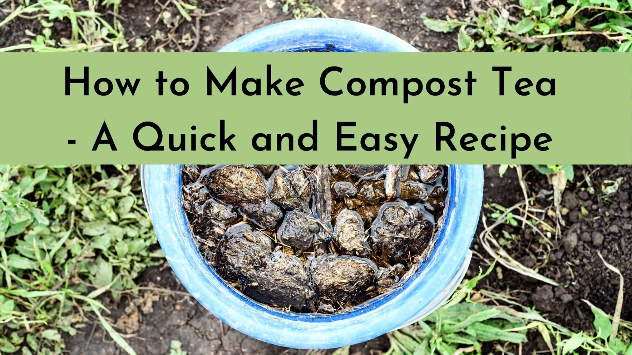 how-to-make-compost-tea-a-quick-and-easy-recipe-topbackyards