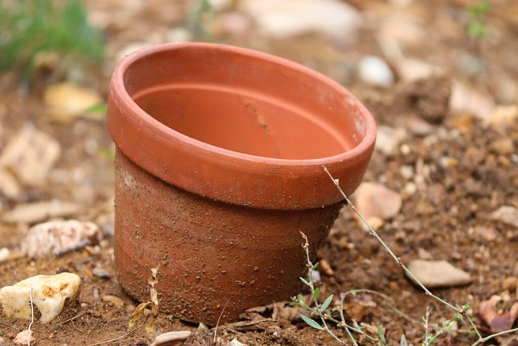 Clay pot