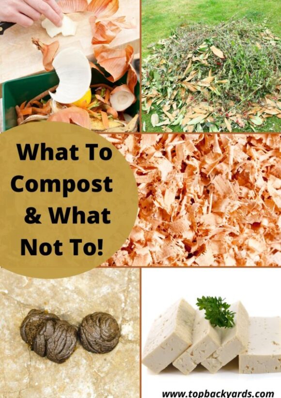 What to Put in a Compost Bin and What Not To! TopBackyards