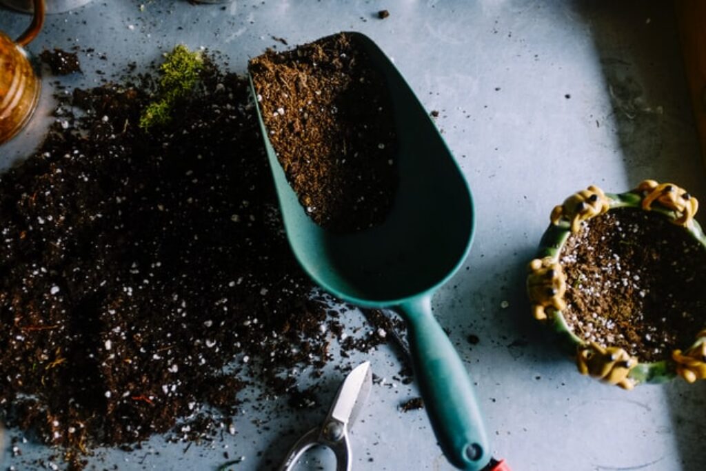 A trowel of finished compost