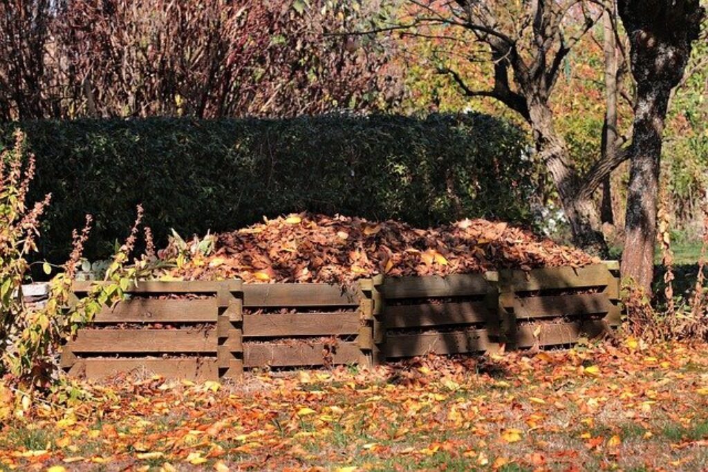 A compost pile of leaves 