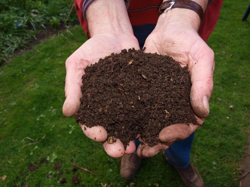 a handful of fertilizer