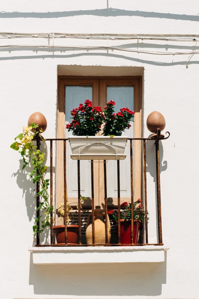 more pot plants on a balcony