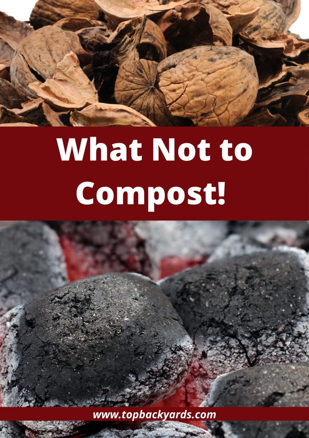 What to Put in a Compost Bin and What Not To! TopBackyards