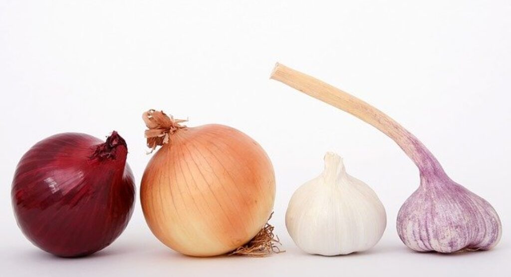 Onions and garlic 