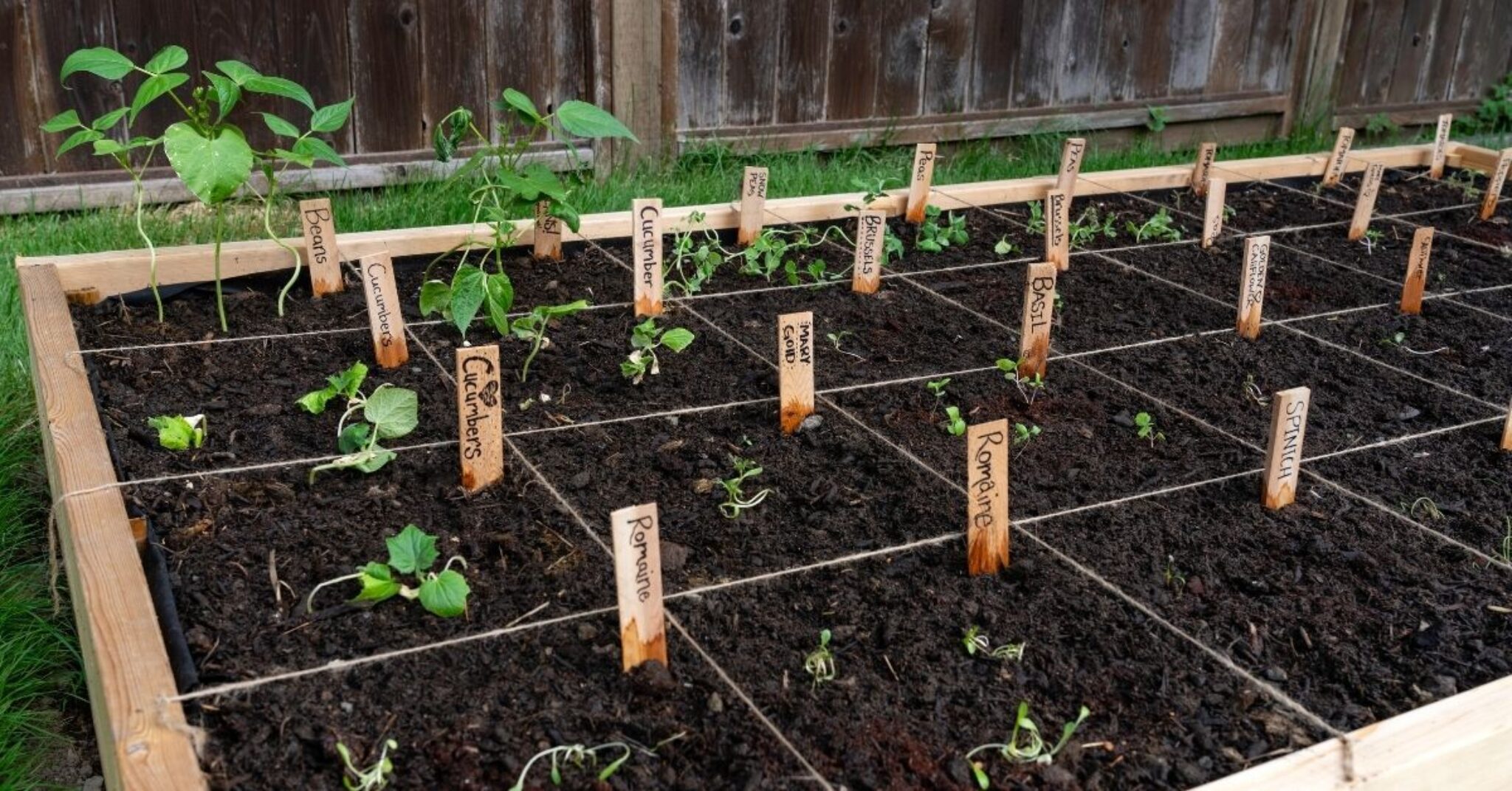 Square Foot Gardening - TopBackyards