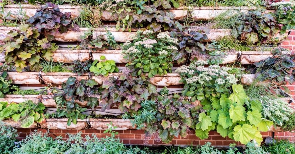 different vertical garden