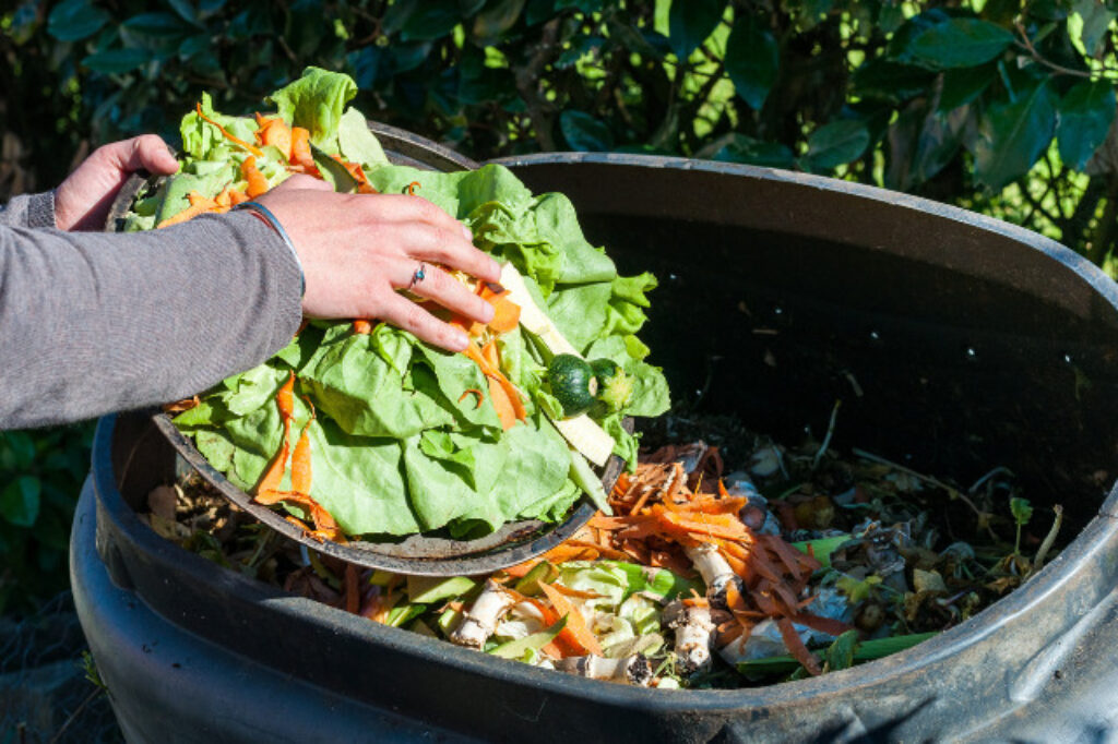 dumping compost in a bin