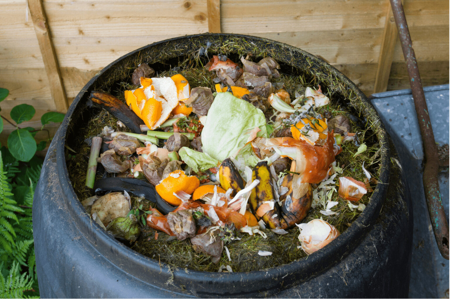 What to Put in a Compost Bin and What Not To! TopBackyards