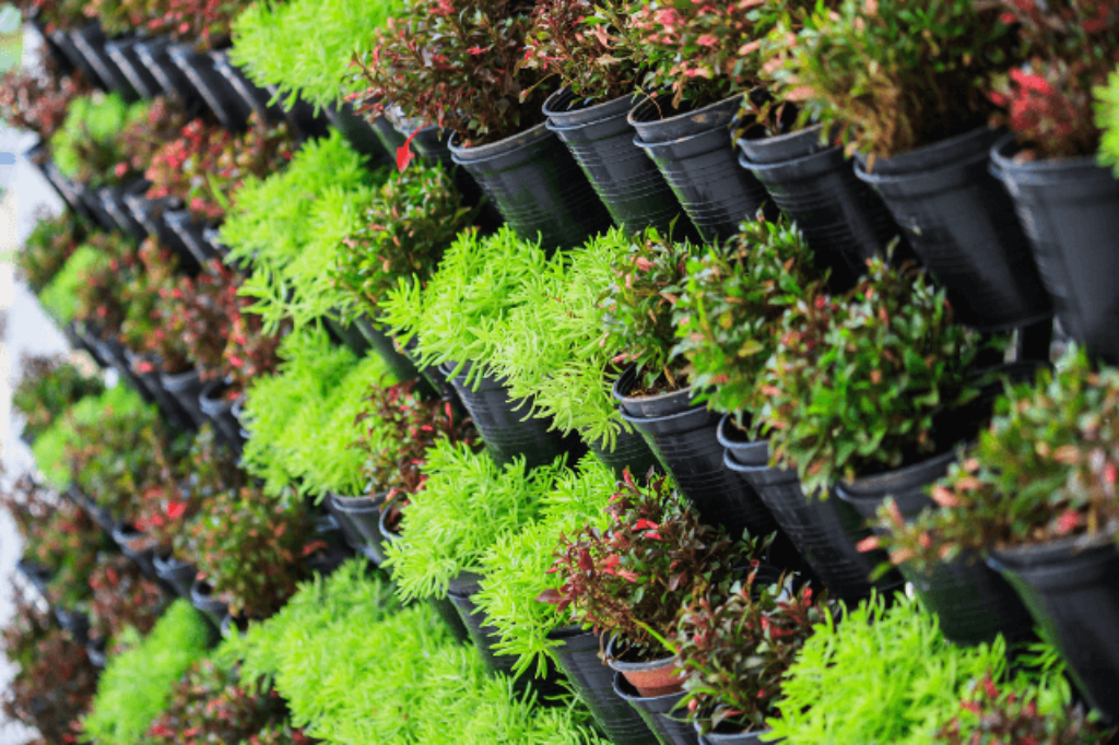 vertical gardens