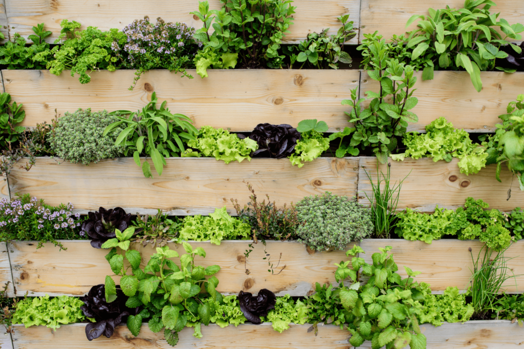 Gardening 101 How to Start a Vertical Garden TopBackyards