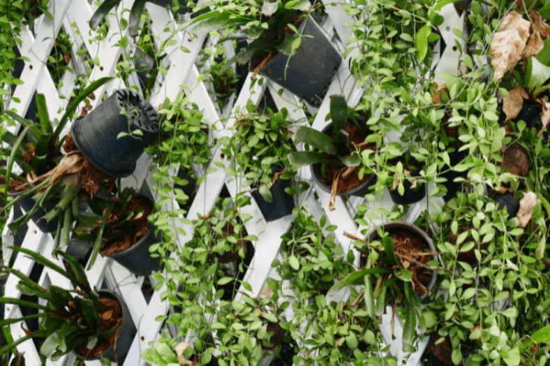 Gardening 101 How to Start a Vertical Garden TopBackyards