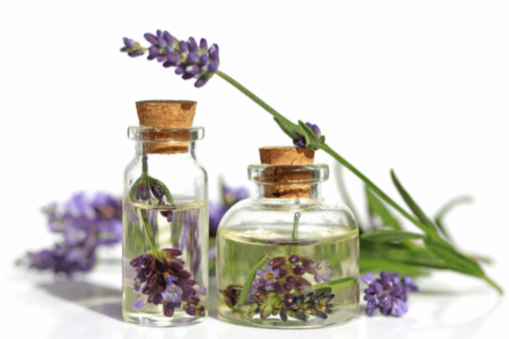 english lavender and oil
