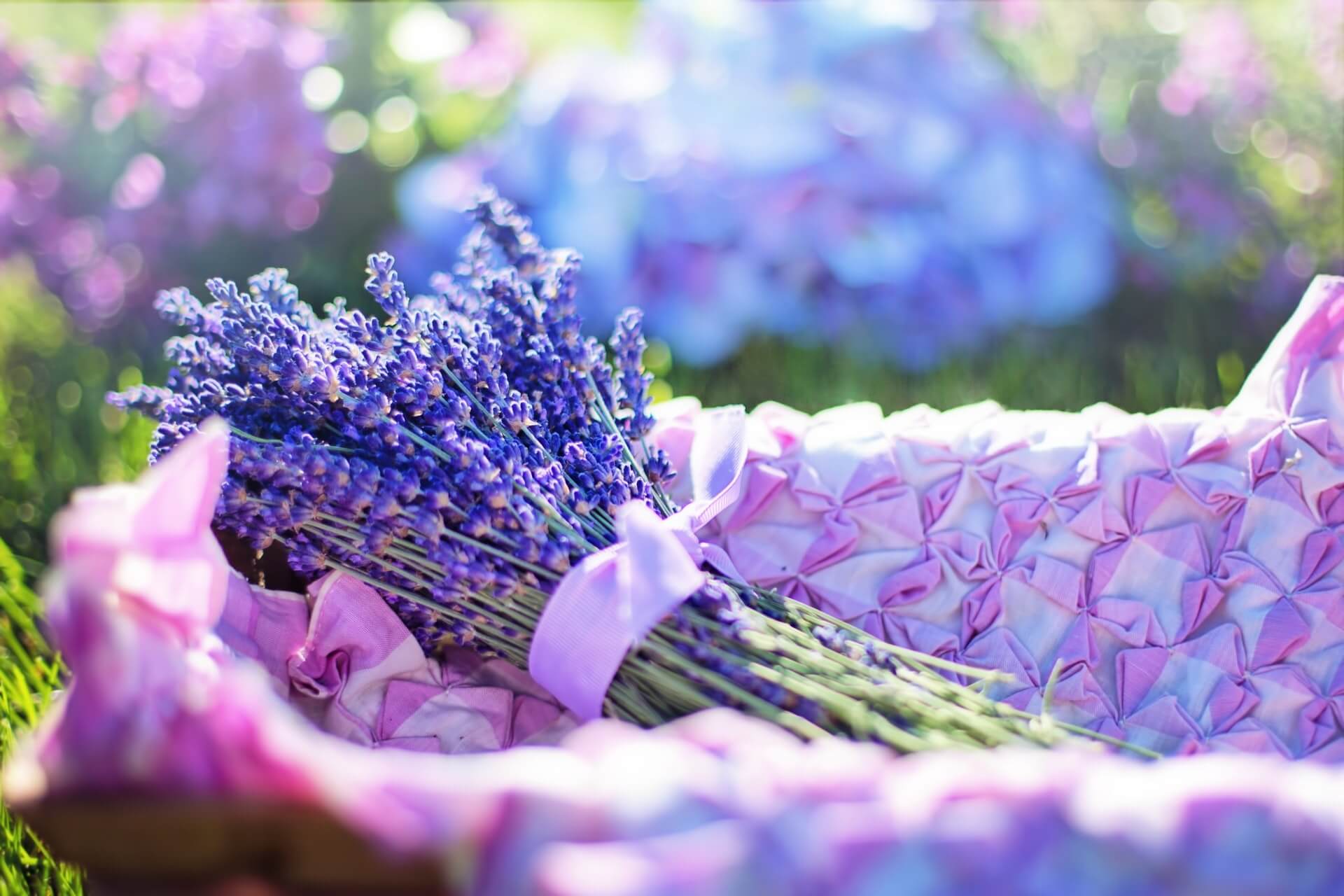 a bouquet of lavender