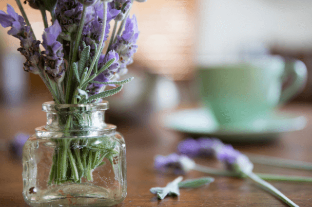 french lavender in a jar