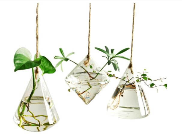 hanging glass planter 