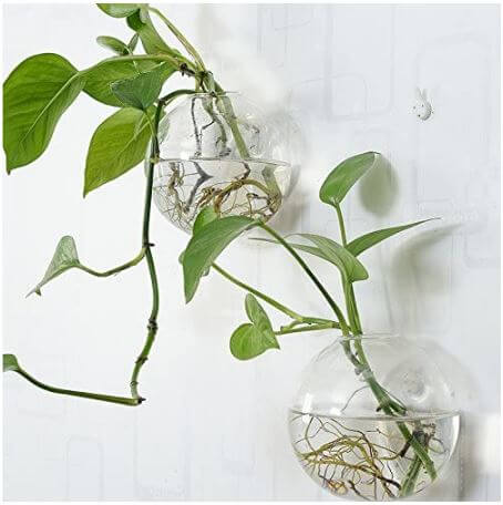 hanging round glass planters