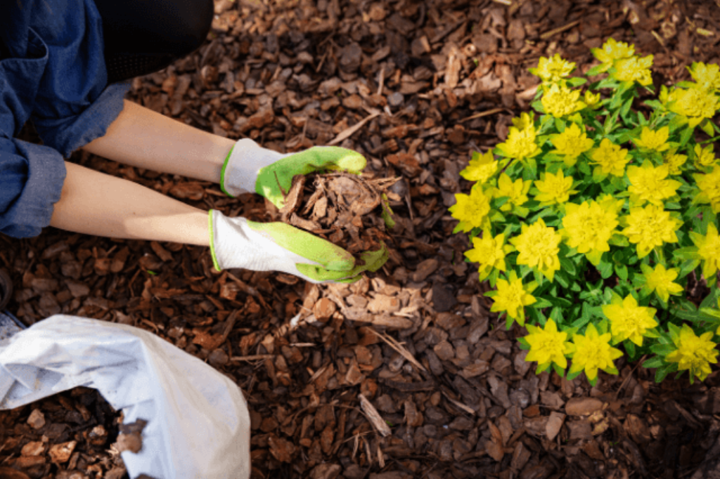 using mulch in the garden