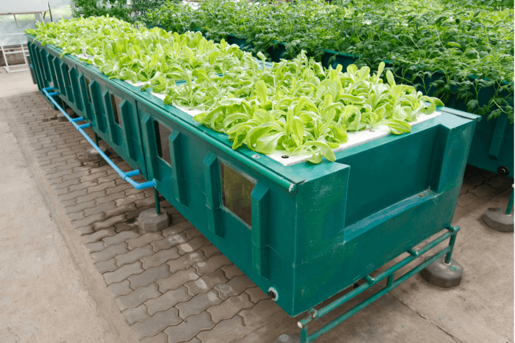 boxed aeroponics systems