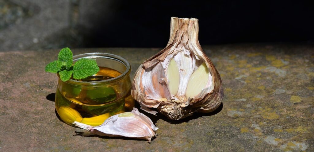 garlic oil and bulbs