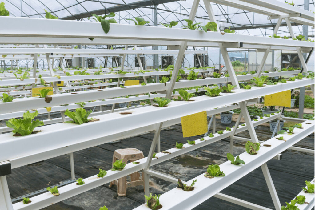 aeroponics system with large metal frame