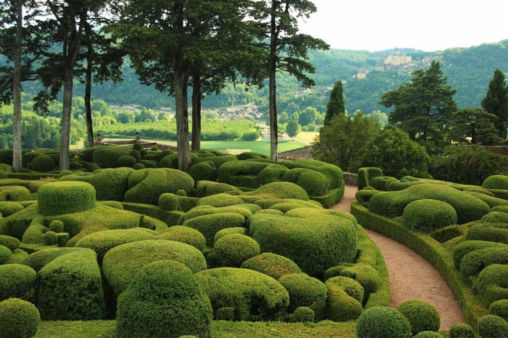 garden with topiaries