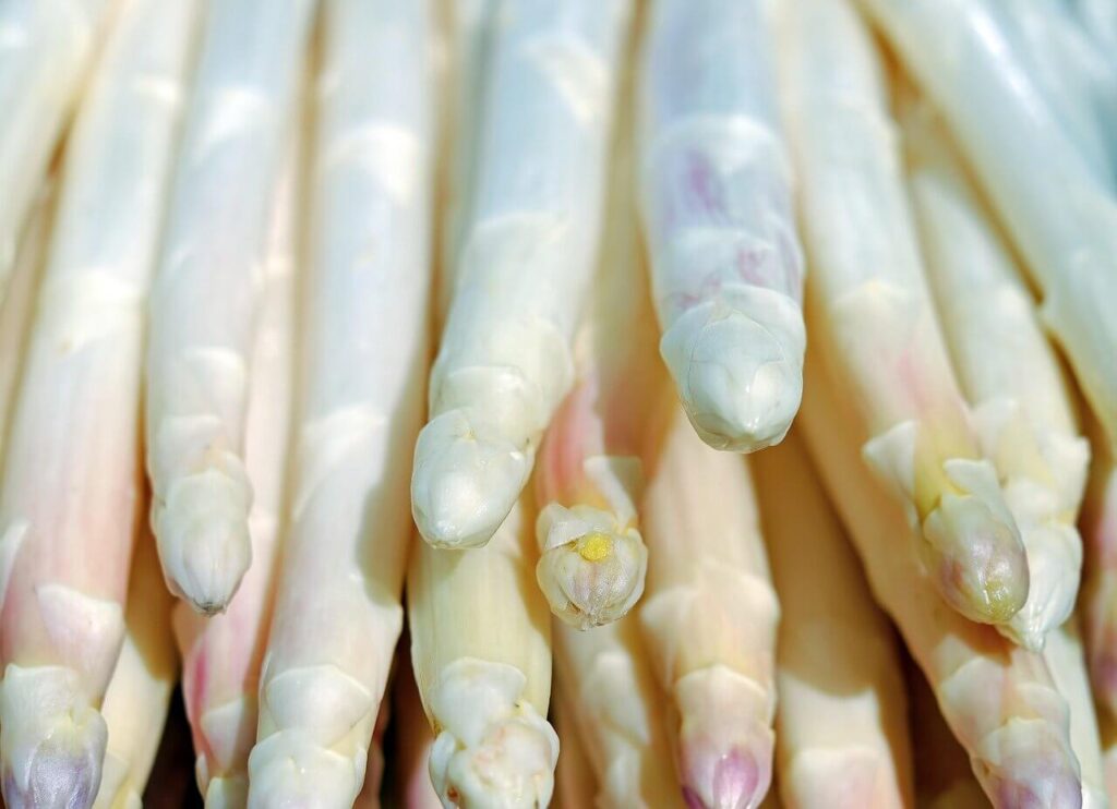 a bunch of white asparagus