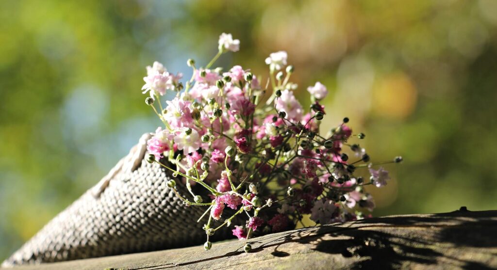 a bouquet of baby's breath flowers