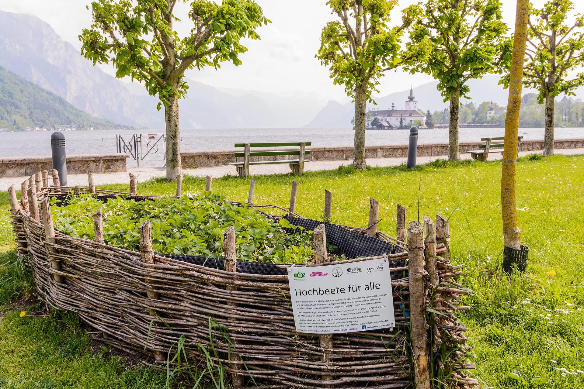 a raised garden bed in the shape of a boat