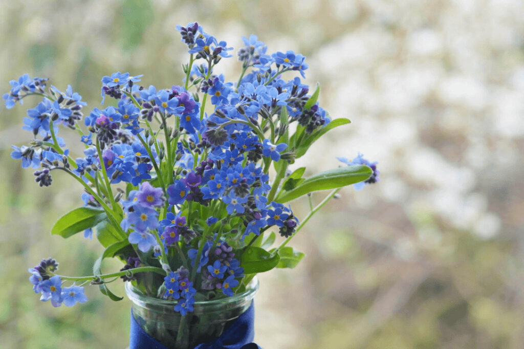 a vase of forget-me-nots