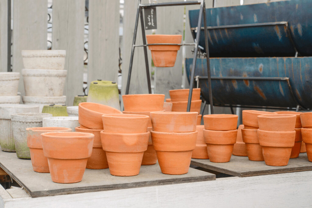 pots for planting jade plants