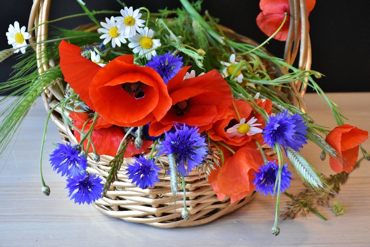 a basket of red and blue cornflowers