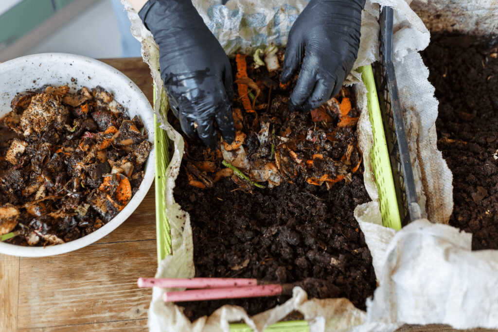 a person using vermicompost