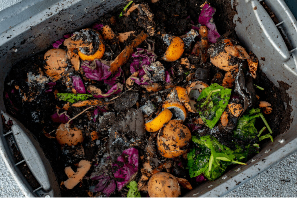 waste material for vermicompost