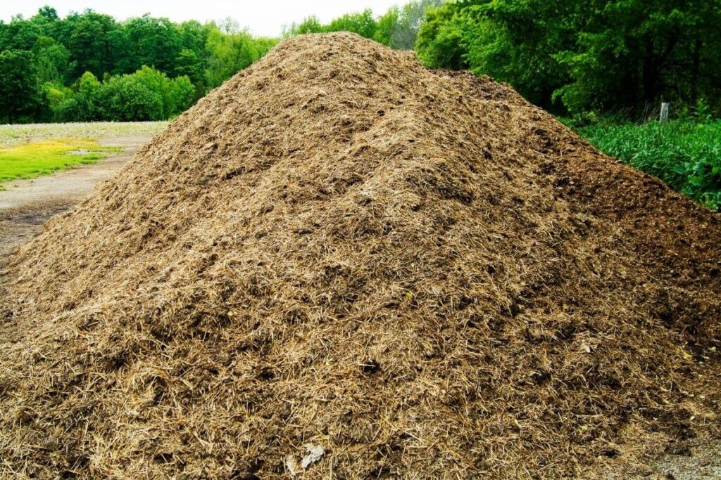 a huge pile of compost