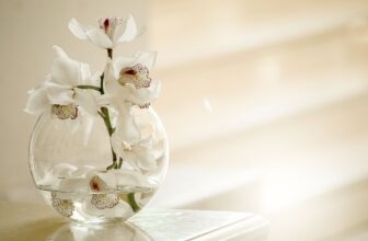 orchids in a glass vase
